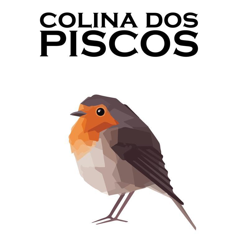 ホテルColina Dos Piscos Casais da Abadia エクステリア 写真